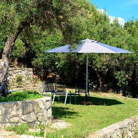 ניאה סקיוני Olive Stone Villa מראה חיצוני תמונה