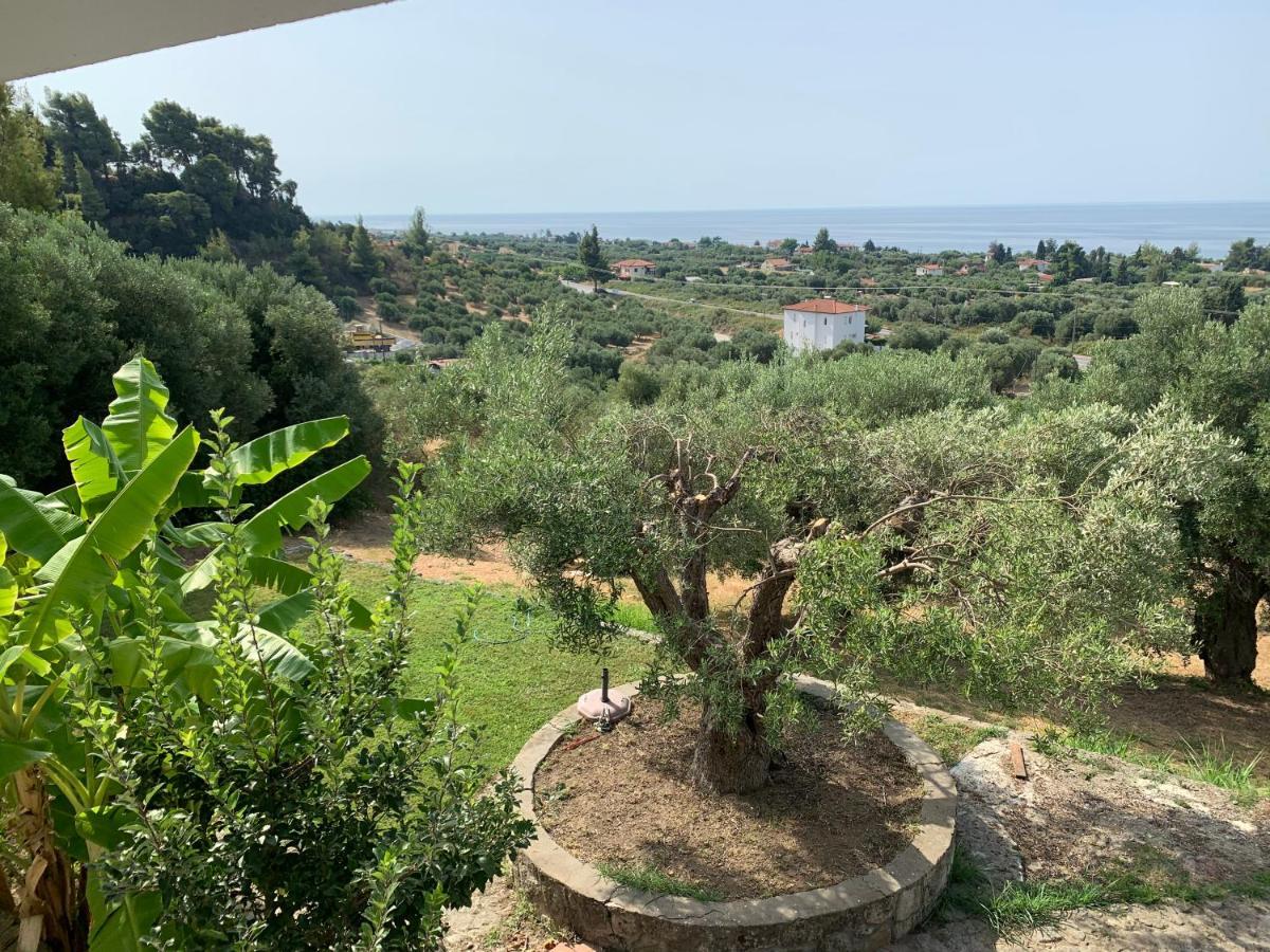 ניאה סקיוני Olive Stone Villa מראה חיצוני תמונה