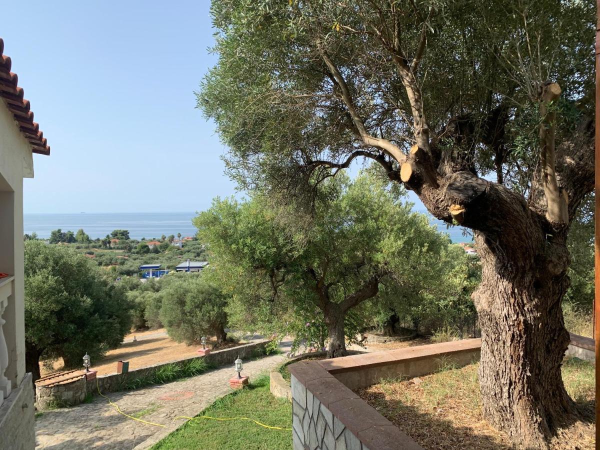 ניאה סקיוני Olive Stone Villa מראה חיצוני תמונה