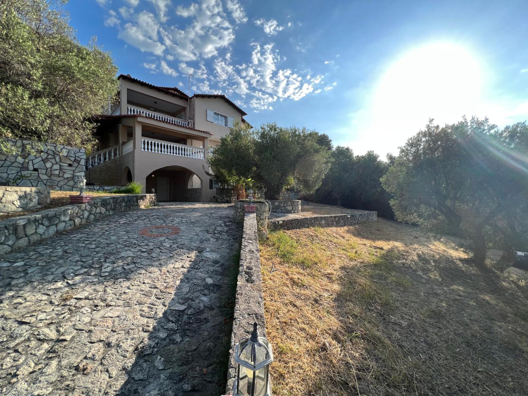 ניאה סקיוני Olive Stone Villa מראה חיצוני תמונה