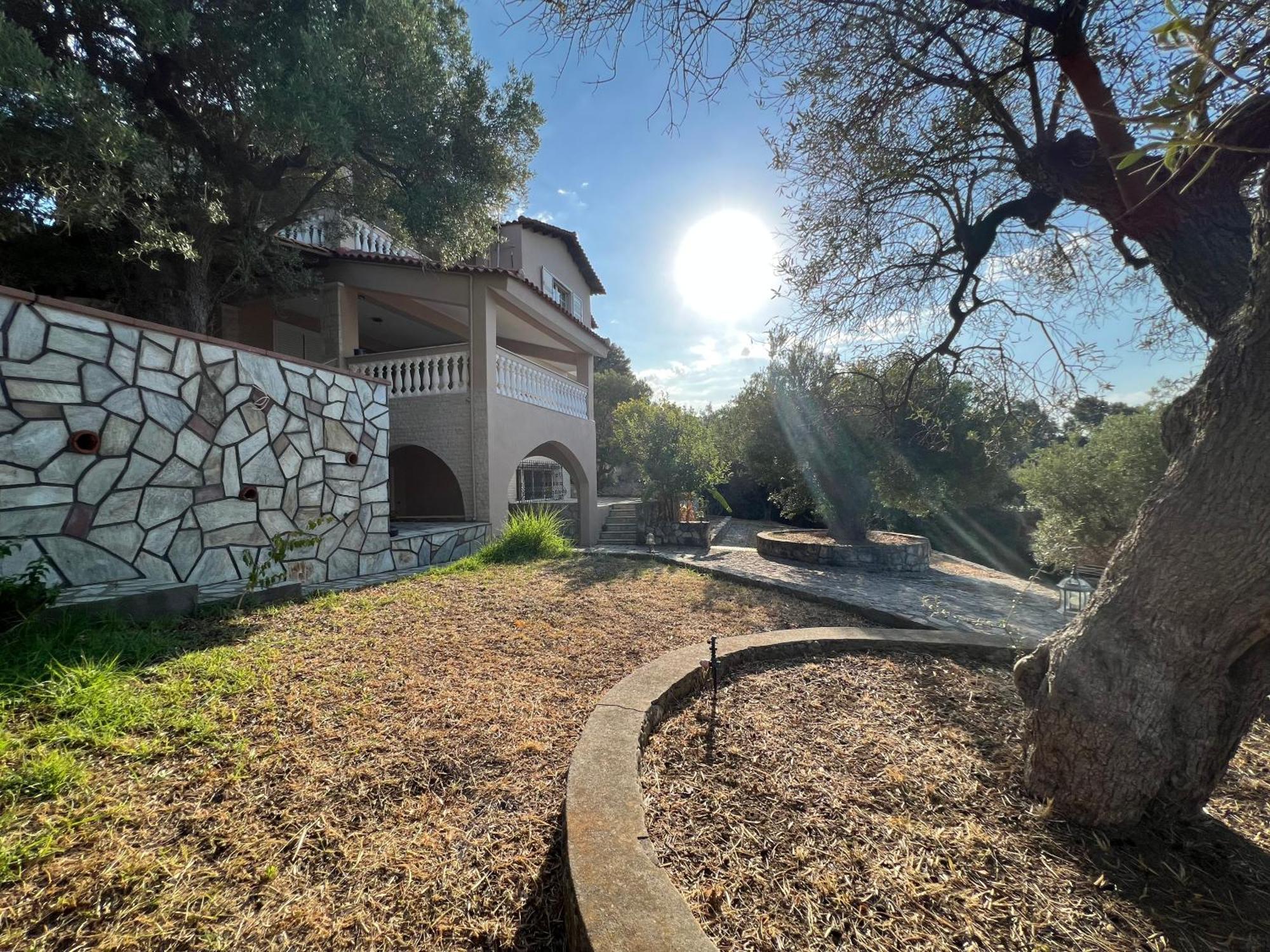 ניאה סקיוני Olive Stone Villa מראה חיצוני תמונה
