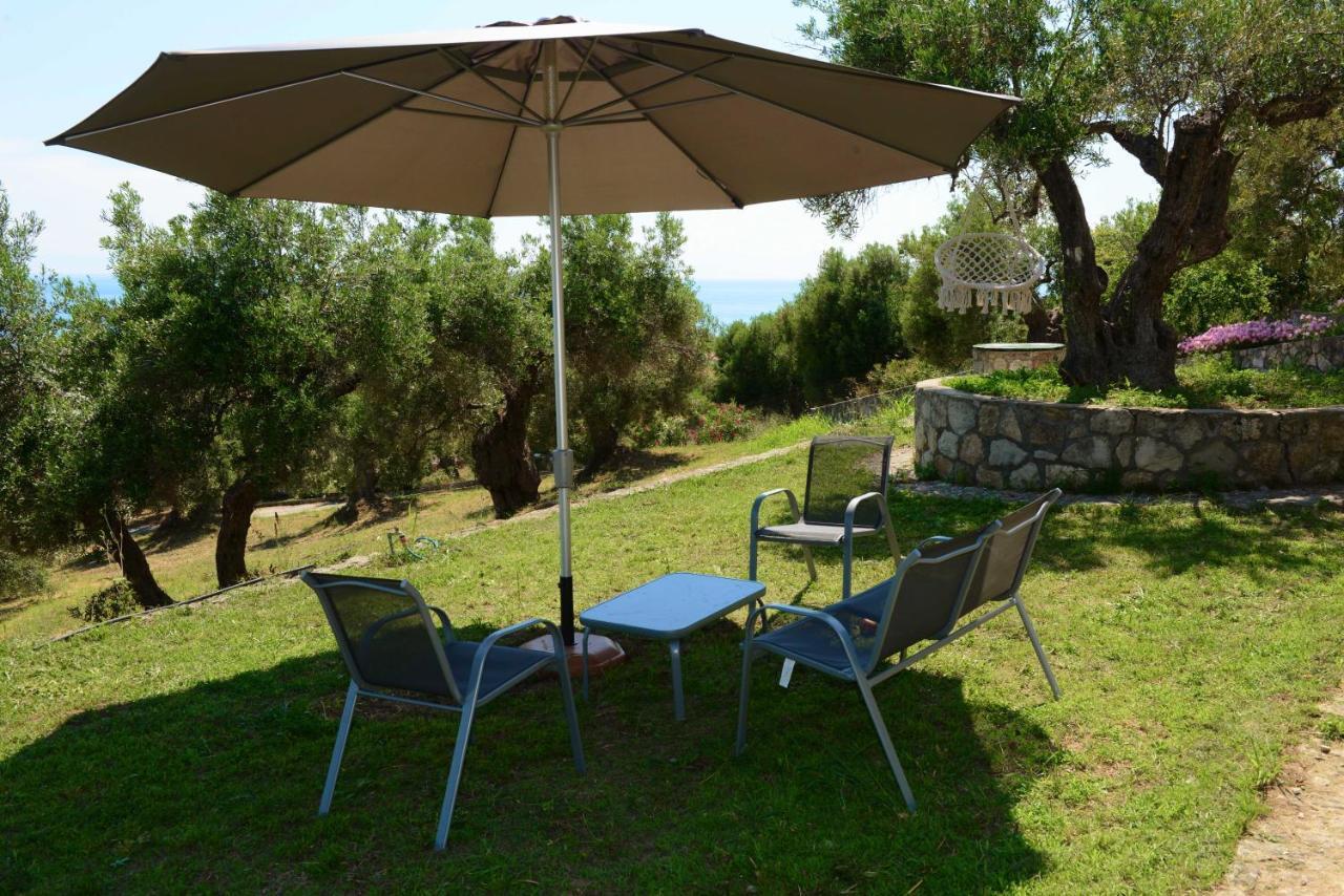 ניאה סקיוני Olive Stone Villa מראה חיצוני תמונה